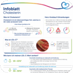 Informationen zu Cholesterin