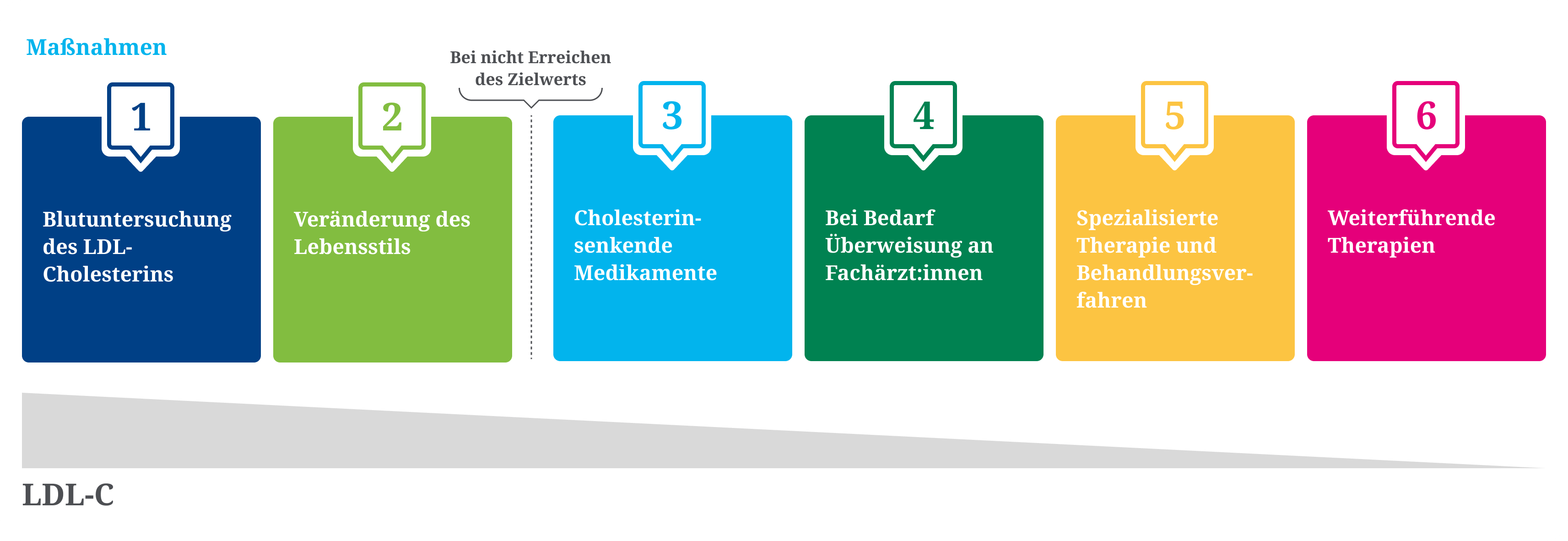 Maßnahmen zur Erreichung des LDL-C Zielwertes